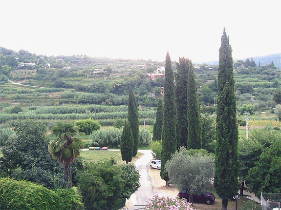 View from the balcony