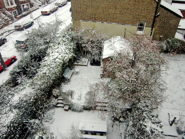 Snowy back garden from my window